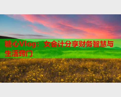 糖心Vlog:女会计分享财务智慧与生活窍门 糖心Vlog:女会计分享财务智慧与生活窍门