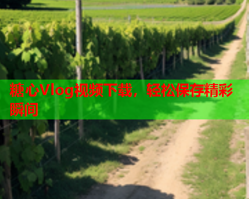 糖心Vlog视频下载,轻松保存精彩瞬间 糖心Vlog视频下载,轻松保存精彩瞬间