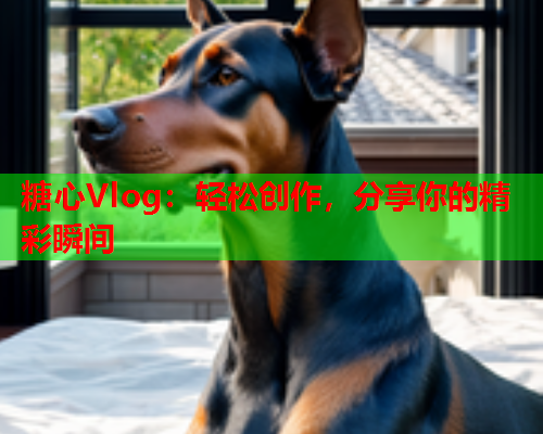 糖心Vlog:轻松创作,分享你的精彩瞬间 糖心Vlog:轻松创作,分享你的精彩瞬间